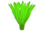 1/4 Lb. Lime Green Goose Pointers Long Primary Wing Wholesale Feather Costume