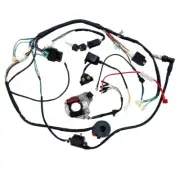 50cc-125cc CDI Wire Harness Stator Assembly Wiring Chinese ATV Electric Quad Kit