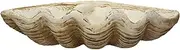 [Creative Co-Op] Coastal Decorative Magnesia Clamshell, Natural
