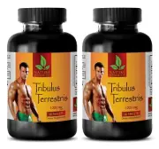 Fitness energy - TRIBULUS TERRESTRIS EXTRACT - Peak performance 2 Bottles 120 C