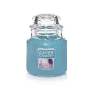 NEW YANKEE CANDLE CATCHING RAYS SCENT SMALL JAR 3.7oz COLLECTION ITEM FREE SHIP