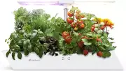 12 Pods Hydroponics Growing System, Boat Shape Herb Garden Kit Indoor with 24W 5