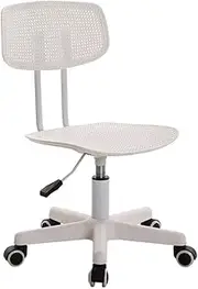 Stable Plastic Office Chair，Lifting Swivel Back Stool Computer Chair，Creative Desk Chair with Stainless Steel Explosion-Proof Tray Mobile