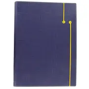 Filofax A4 Apex Folder Note/Document Holder Case Cover Personal Organiser BLU