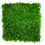 Mediterranean Fern Vertical Garden UV Stabilised 1m X 1m