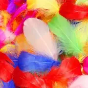 360pcs Colorful Feathers 3-5 inch Craft Feathers Assorted Rainbow multicolored