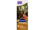 Derwent Academy Soft Pastels Blocks Assorted Pack 12