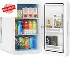 22L Mini Fridge Portable Car Fridge AC/DC Cooler Warmer for Home Office Dorm