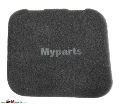 Air Filter for STIGA Mountfield Lawnmowers with Engine WBE140 pn 118550945/0