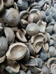 3lb. Hickory Nuts Husks/Shells For BBQ Smoking / Craft