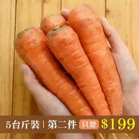 在飛比找台灣好農優惠-台南旭陽有機紅蘿蔔5台斤-產地出貨