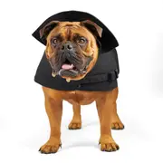 Kazoo Aussie Oilskin Black Dog Coat