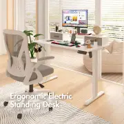 Advwin Electric Standing Desk with Monitor Stand White