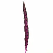 10" to 20" Lady Amherst Pheasant Side Tail Feather - Hot Pink ((SECONDS))