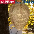 Wasp Nest Decoy Paper Hornet Deterrents 28x22cm Non-Toxic for Outdoor Garden
