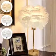 Fashionable Feather Desk Lamp – Decorative Lighting for Bedroom, Office, Living