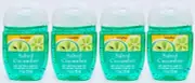 4 Bath Body Works SALTED CUCUMBER Pocketbac AntiBac Hand Sanitizer Gel 1 oz
