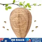 - Safe Repellent Trap Wasp Nest Decoy Garden Repellent Trap for Home Garden Yard
