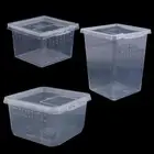 Spider Ants Hatching Tank Lizard Living Box Insect Feeding Box Reptile Habitat