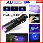 Tersely UV Light Ultraviolet LED Flashlight Blacklight Portable Torch