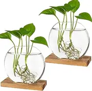 2 Pack Desktop Round Glass Planter Terrarium Flower Vase with Wooden Stand for Propagation Small Hydroponic Plants Home Office Decor