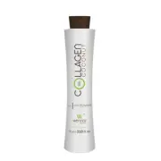 Bio Coconut Discipline Collagem Gel Progressive Hair Treatment 1L - Honma Tokyo