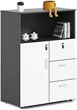Filing Cabinet Filing Cabinet Short Cabinet Printer Cabinet Office Organizer Filing Cabinet Partition Storage Cabinet Locking Drawer Cabinet Storage Cabinet(Black)