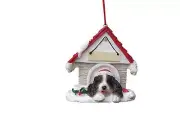 E&S Pets 35355-42 Springer Spaniel Doghouse Ornament