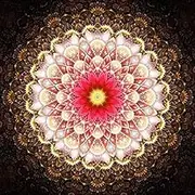 5D DIY Diamond Painting [Full Diamond] Rhinestone Pictures of Crystals Embroidery Animal Street Arts Home Decor 12x12 inch Lotus Mandala Indian