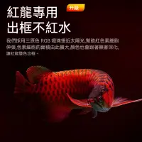 在飛比找蝦皮購物優惠-【工廠】吉印龍魚專用燈 紅龍魚髮色燈  金龍魚金底燈 金龍魚