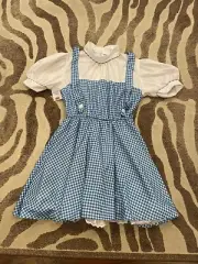 Ladies Large Wizard Of Oz Dress