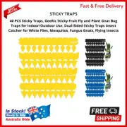 Sticky Traps 40 PCS Fruit Fly and Plant Gnat Bug Traps Indoor Outdoor use