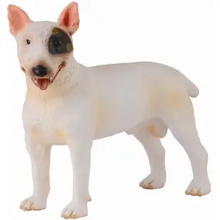 CollectA 英國高擬真模型 西伯利亞雪橇犬 哈士奇 邊境牧羊犬 牛頭梗 鬥牛㹴 賤狗 野生動物 動物模型 非洲靈貓