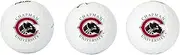 Desert Cactus Chapman University Golf Balls 3 Pack Full Color Golf Ball (Design B)