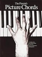 The Pianist's Picture Chords Piano Music Lessons Easy to Read Diagrams Book