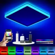 Smart LED Ceiling Light WiFi, 13in RGB Flush Mount Lighting Fixture with Remo...