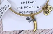 NEW NWT Alex and Ani Horn Charm Bangle Two Tone Silver Gold Bracelet W/Card