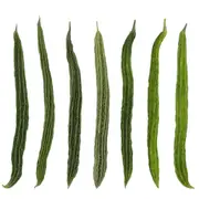 Bitter Melon - Japanese Long seeds