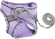 GREENADSCAPE 1 Set Small Pet Harness Set with Leash Lightweight Breathable Design for Comfortable Walks for Small Dogs and Cats S