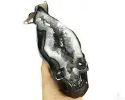 A Fish Skull 8.8" Agate Geode Carved Crystal Skull, Crystal Healing
