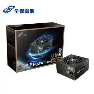 FSP全漢HYDROGPRO650W80PLUS金牌全模組化電源供應器(HG2-650) 現貨 廠商直送