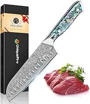 7 Inch Santoku Knife, Damascus Steel Kitchen Chef Knife Razor Sharp Meat Cleaver with Ergonomic Natural Resin Handle Cooking Knife,Gift Box