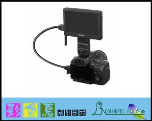 彩色鳥 租 SONY CLM-V55 螢幕 (5吋HDMI介面)A7III 二手出清 5D4 A6600