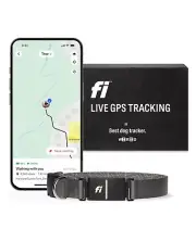 Fi Series 3 GPS Pet Tracker Collar Activity & Fitness Monitor (Xtra-Small,Gray)