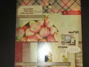 DCWV Spiced Cider 48 sheets 12"x12"