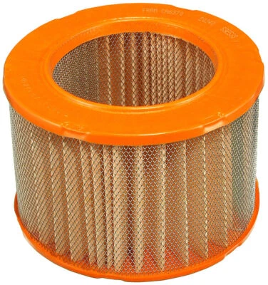 CA6370 Fram Fuel Filter Chevrolet Beretta Corsica Pontiac Tempest 1987-1988 (for: Chevrolet)