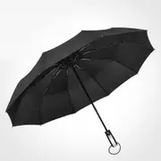 Automatic Umbrella Auto Open Close Compact Folding Anti Rain Windproof 10Ribs