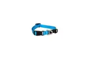 Rogz Turquoise Small 11mm Wide x 20cm to 31cm Classic Utility Collar for Dogs & Puppies