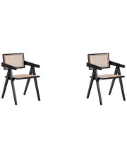 Manhattan Comfort Set of 2 Hamlet Dining Arm Chairs