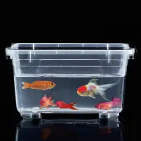 在飛比找Yahoo!奇摩拍賣優惠-【現貨】高透明塑料箱養魚養龜箱桌面手提收納箱收納盒戶外車載釣